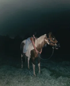 Grace Taylor riding horseback at night.